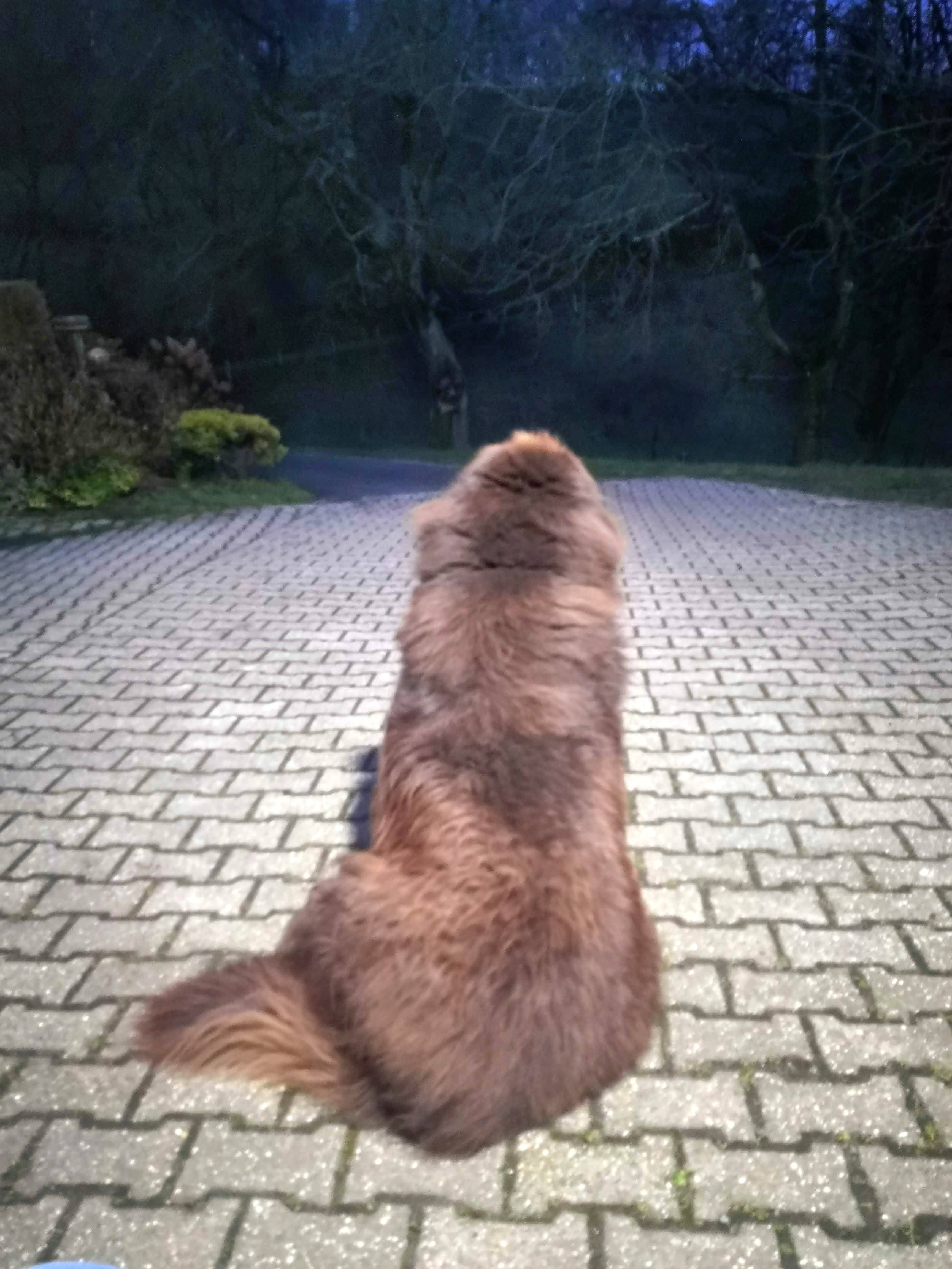 Mal schauen
